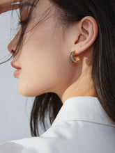 Load image into Gallery viewer, Red Oil-drop Glaze Earrings E0369